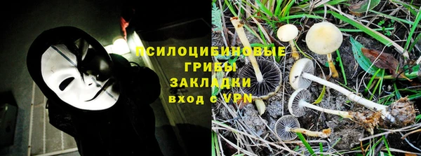 apvp Абаза