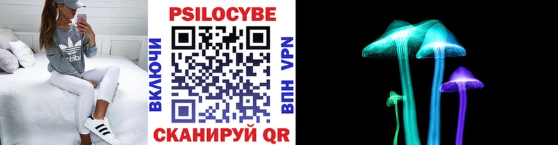 Псилоцибиновые грибы Psilocybe  Богородицк 